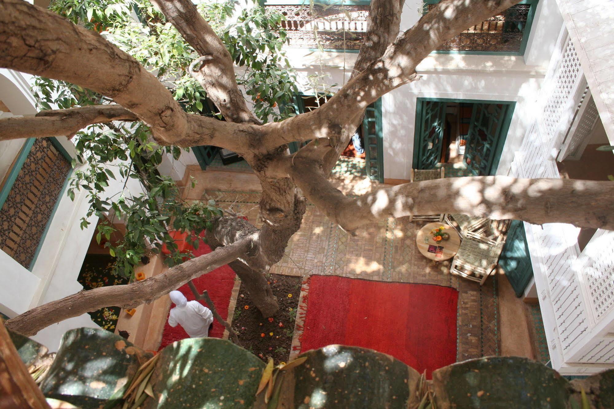 Riad Dar Zitouna En Exclusivite マラケシュ エクステリア 写真